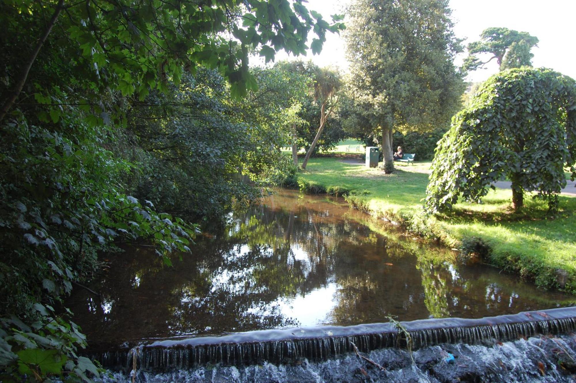 Warren Fern Welcome Family South Devon Offered By Welcome2warren Holiday home
